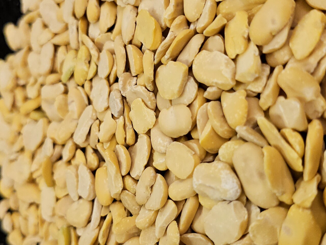 Split dry yellow commodity kernels shown in a clean close-up.
