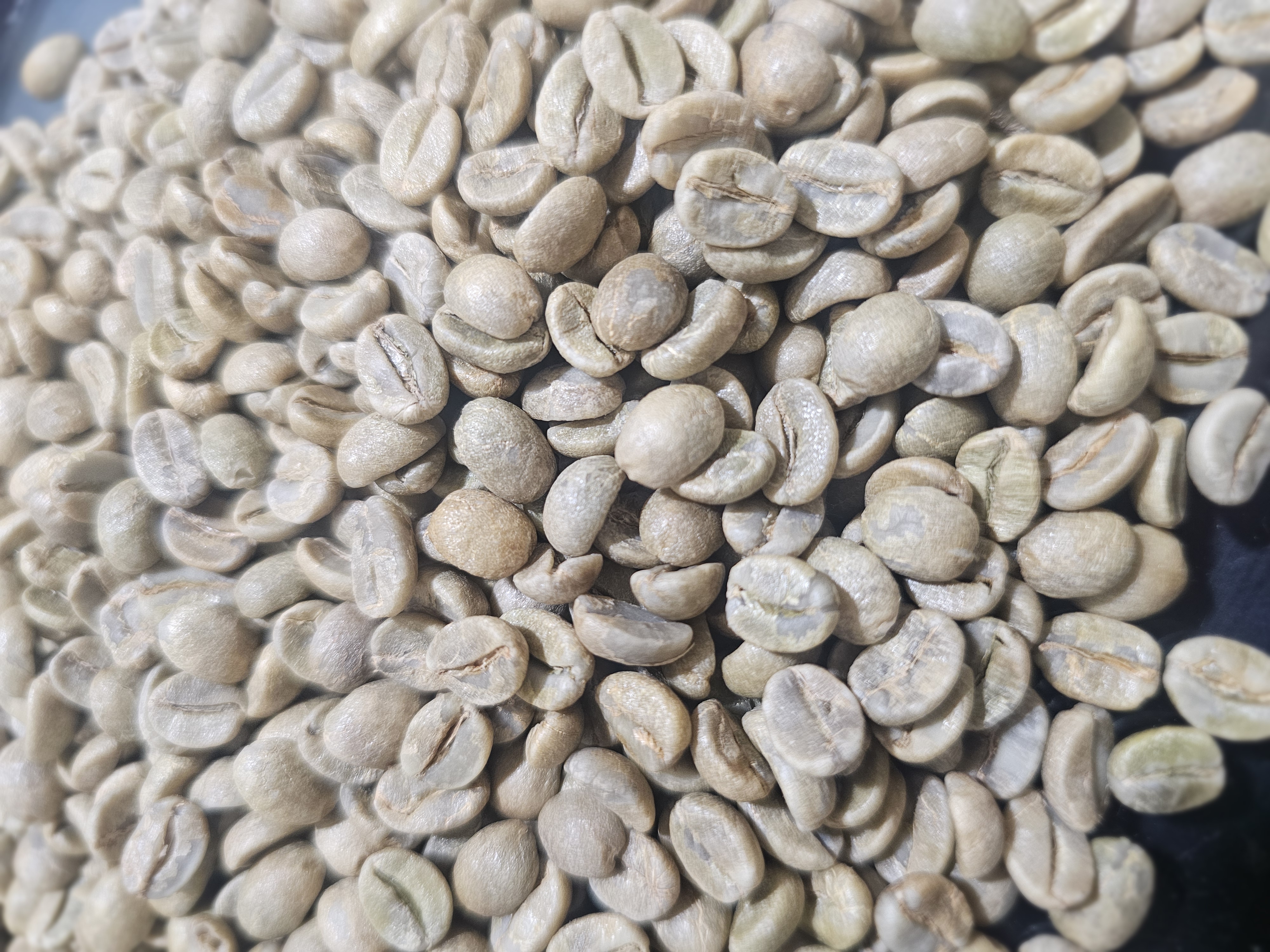 Green coffee beans in close product presentation.