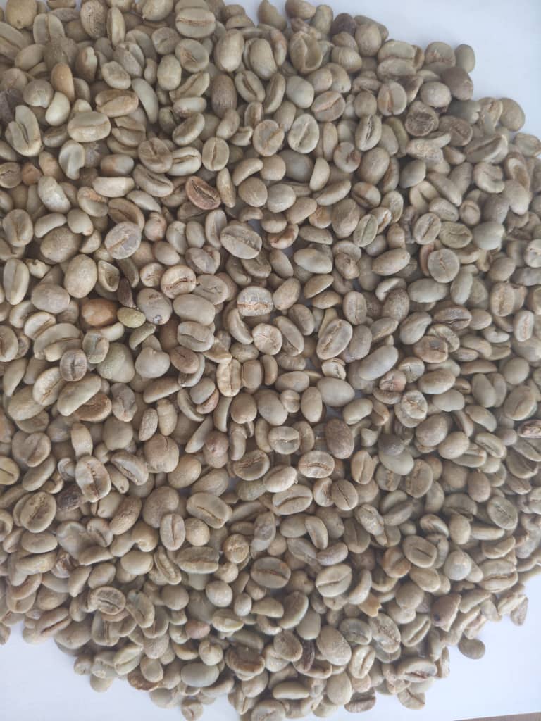 Green coffee beans shown in a clean bulk product view.