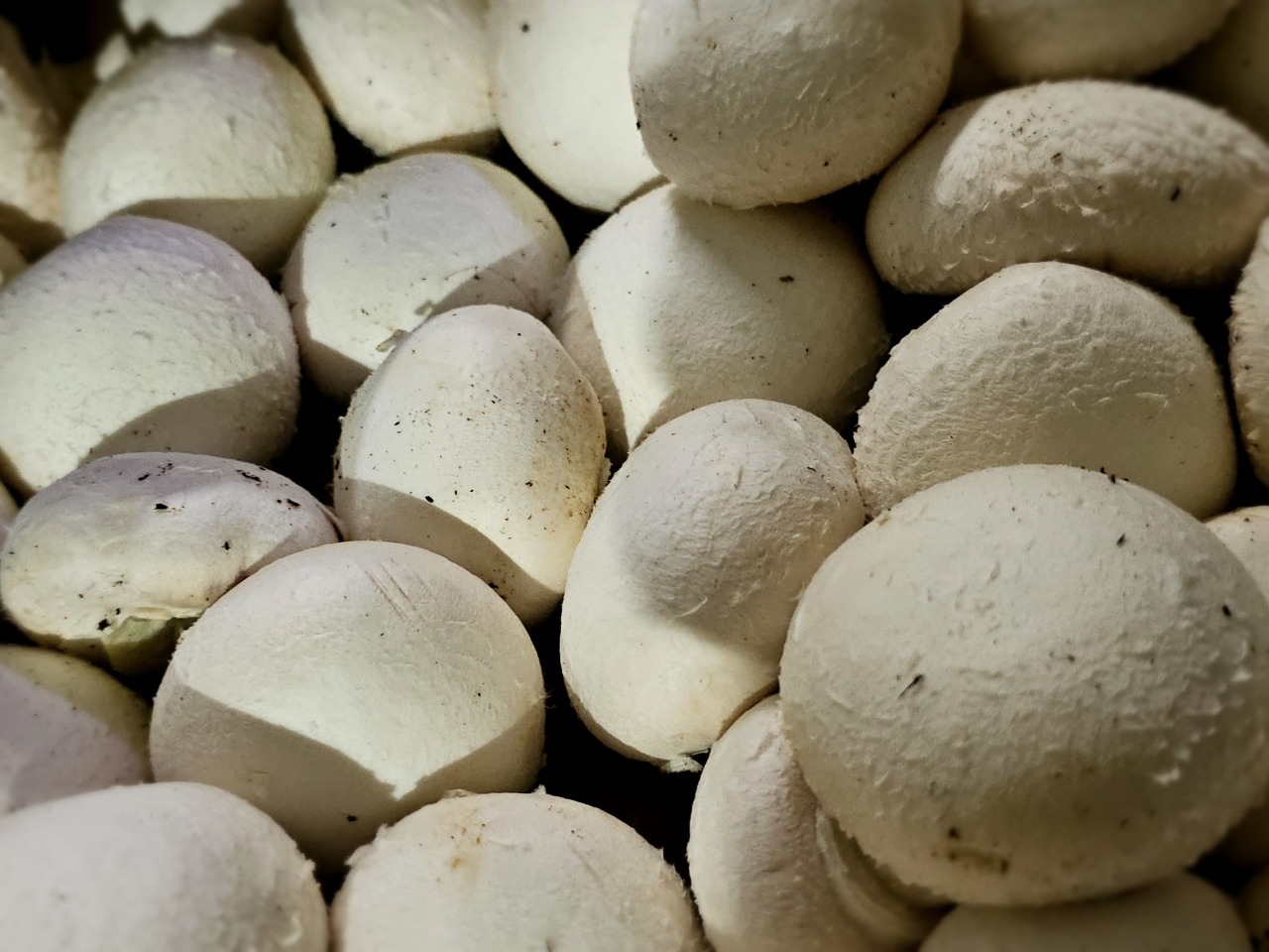 Fresh mushrooms shown as a supporting produce line.