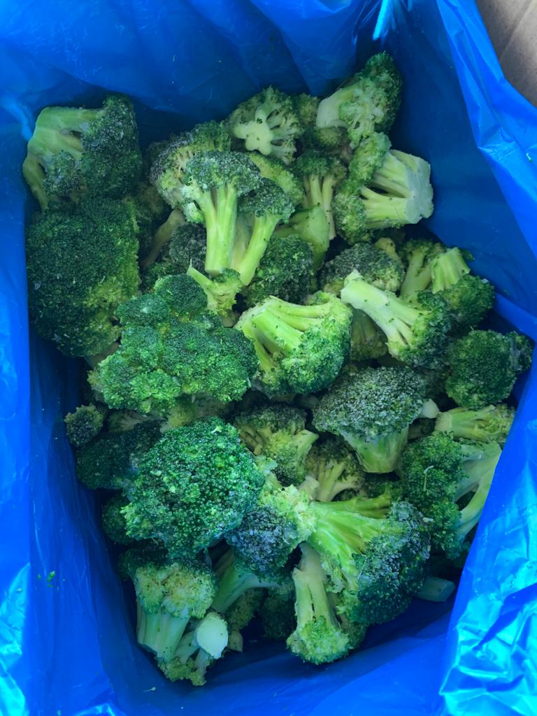 Frozen broccoli florets packed in a cold-chain liner.