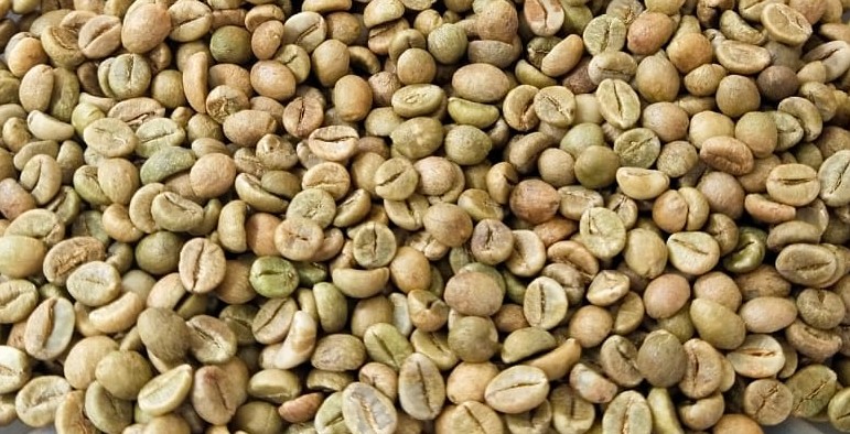 Green coffee beans shown in a clean close-up for product review.